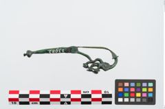 Foto von Bronzeschlangenfibel (NHMW-PRAE-023982)